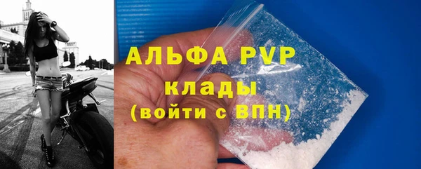 молекула духа Арсеньев