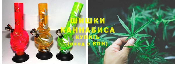 прущие грибы Армянск