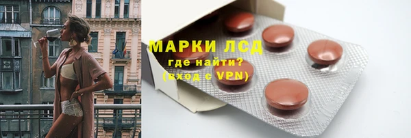 прущие грибы Армянск