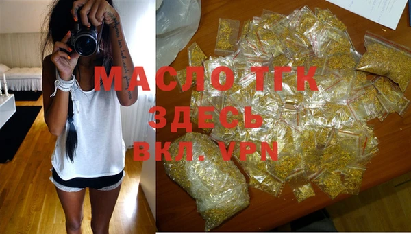 сатива Аркадак
