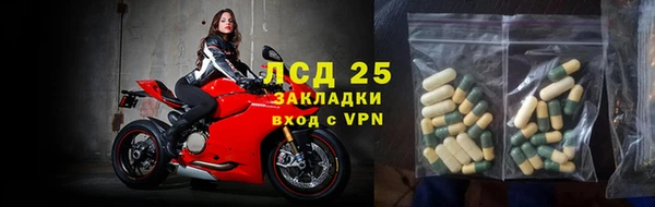 прущие грибы Армянск