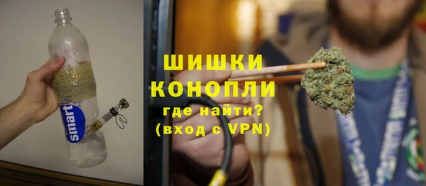 сатива Аркадак