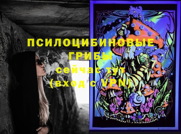 молекула духа Арсеньев