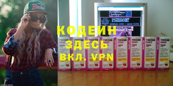 прущие грибы Армянск