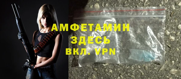 сатива Аркадак