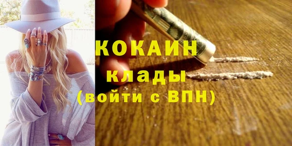 молекула духа Арсеньев