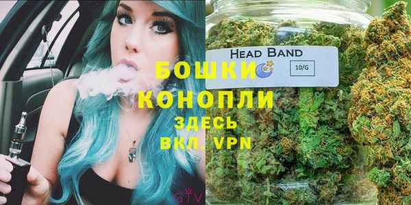 молекула духа Арсеньев