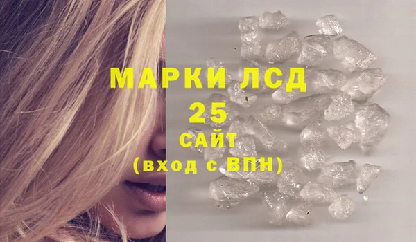 молекула духа Арсеньев