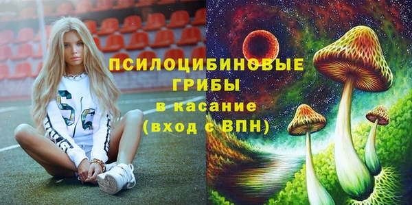 молекула духа Арсеньев