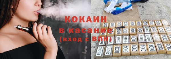 сатива Аркадак