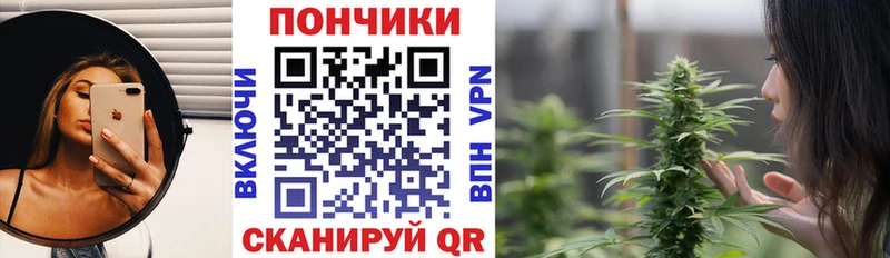 закладка  Сорск  Бошки Шишки Ganja 